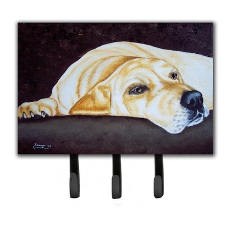 Carolines Treasures Carolines Treasures AMB1072TH68 Naptime Yellow Labrador Leash or Key Holder AMB1072TH68